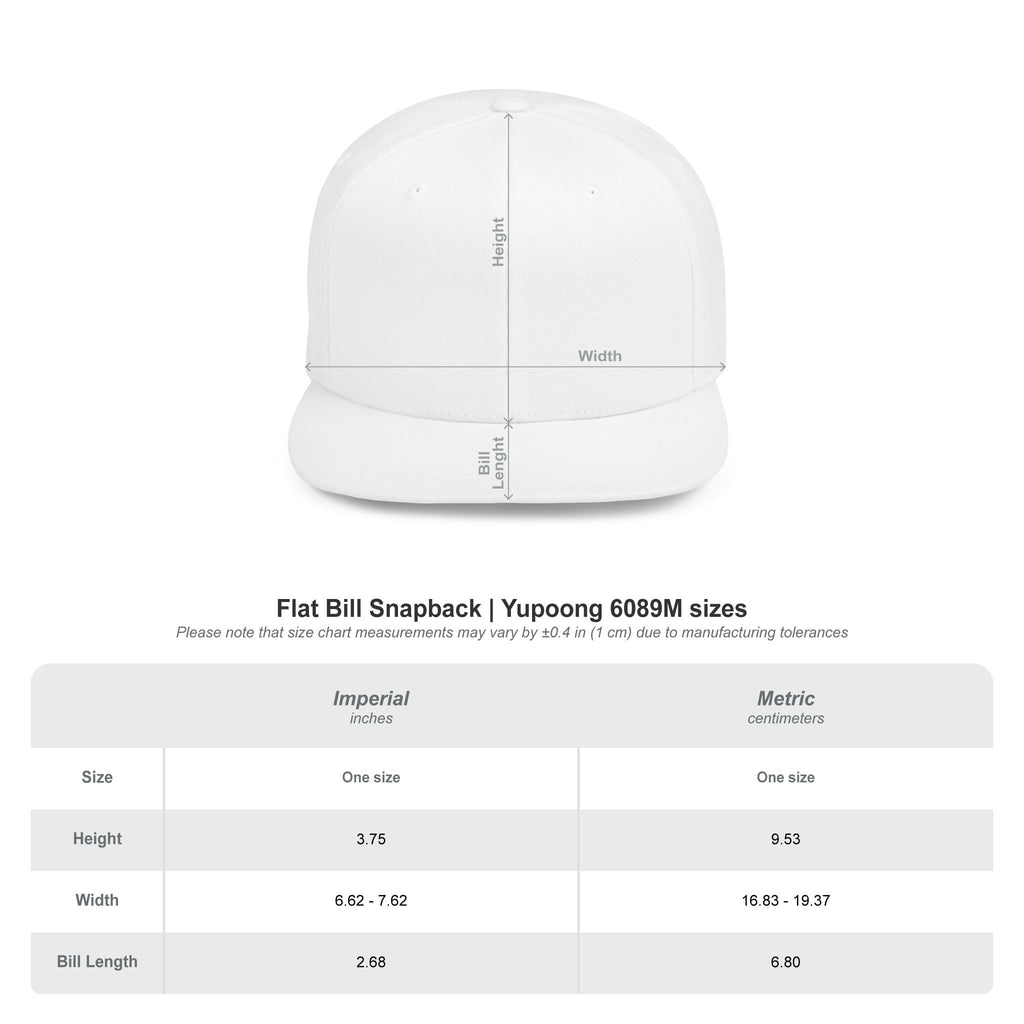 Dream Big Snapback Hat | Embroidered Cap