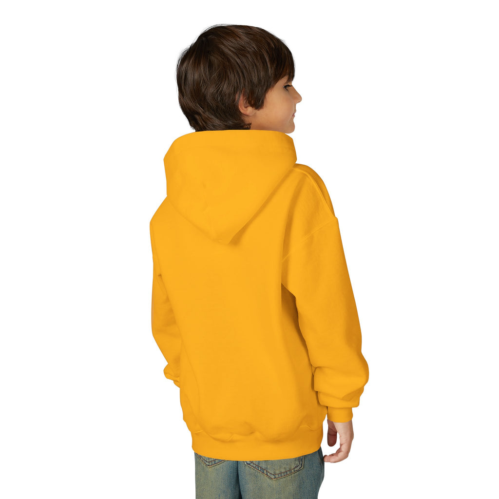 Dream Big Youth Hoodie — Colorful Inspirational Graphic Sweatshirt