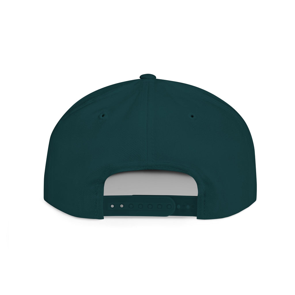 Dream Big Snapback Hat | Embroidered Cap
