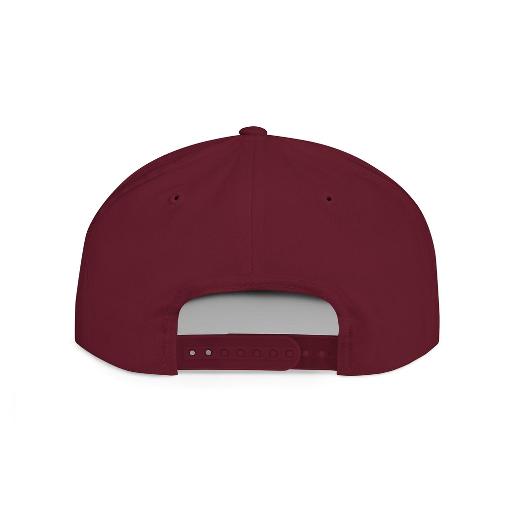 Dream Big Snapback Hat | Embroidered Cap