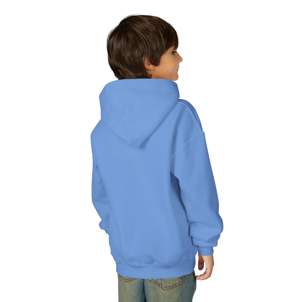 Dream Big Youth Hoodie — Colorful Inspirational Graphic Sweatshirt