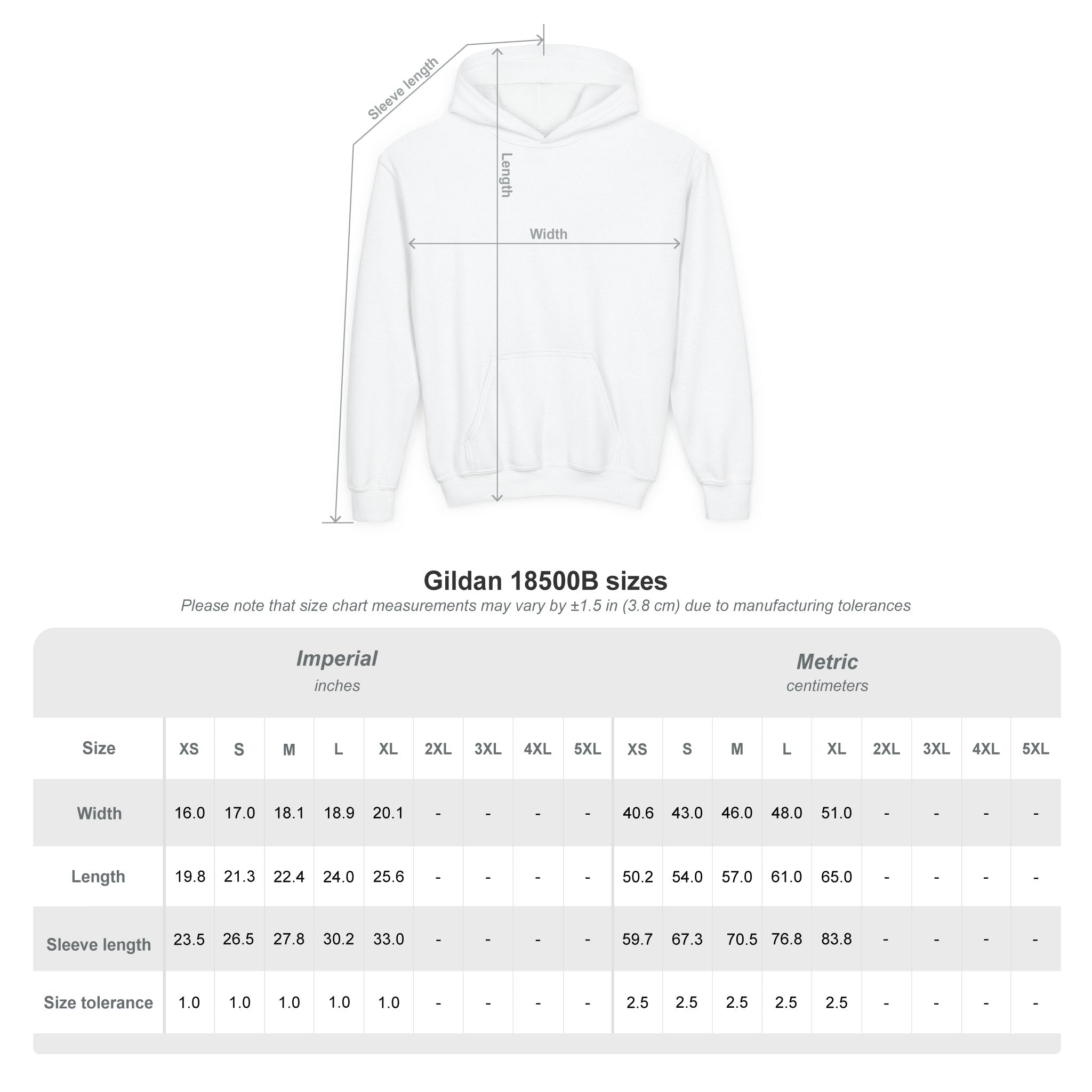 Dream Big Youth Hoodie — Colorful Inspirational Graphic Sweatshirt